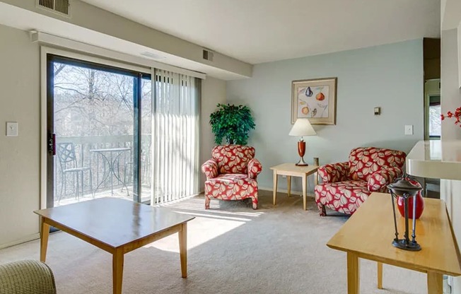 A living room with a sliding glass door and a potted plant.