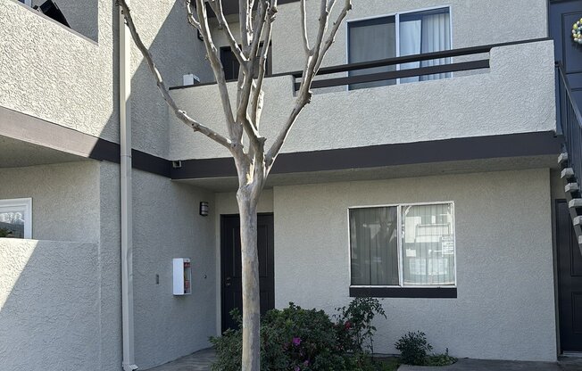 19550 E CIENEGA AVE