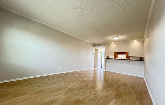 1 bed, 1 bath, 750 sqft, $1,000, Unit ABB-2-308