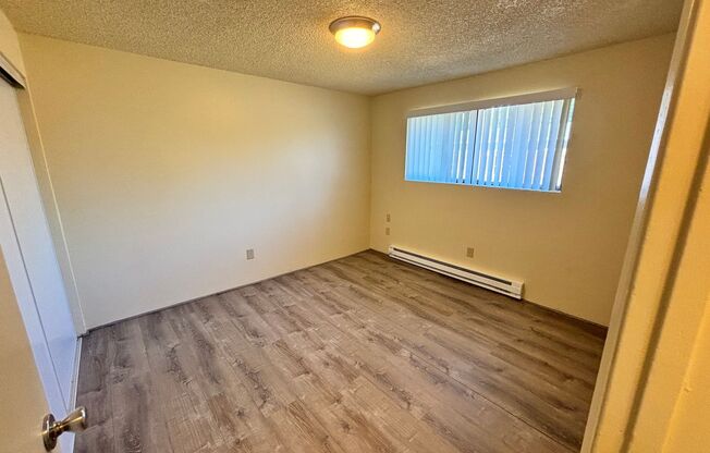 2 beds, 1 bath, $1,495