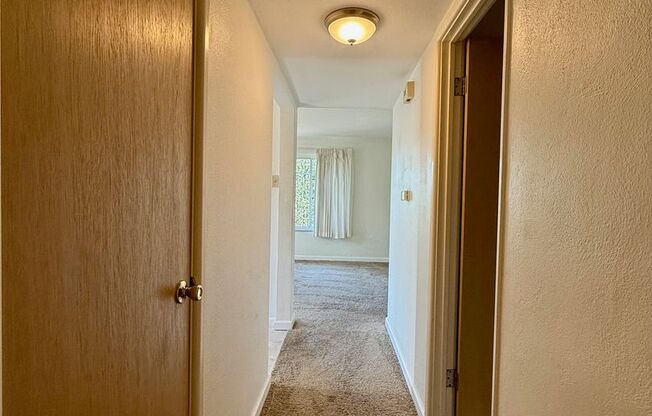 1 bed, 1 bath, 700 sqft, $795