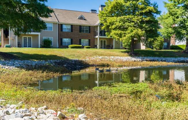 Apartment Homes at Pelican Cove Overlooking the Pond with  Wildlife