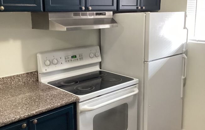 1 bed, 1 bath, 600 sqft, $1,175, Unit 12