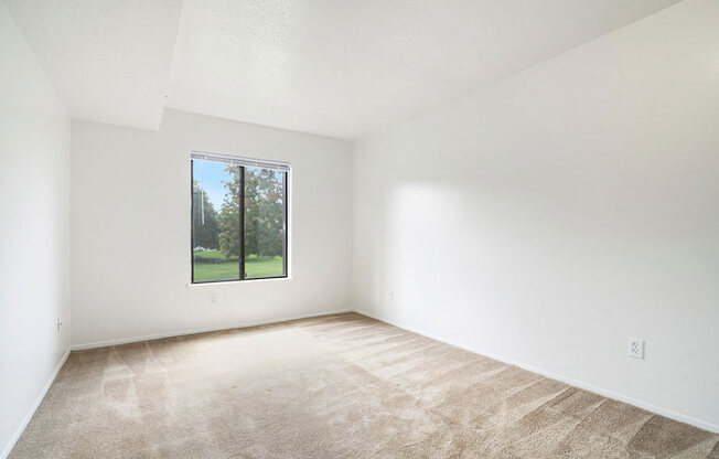 spacious bedroom with large window at Apple Ridge Apartments, Michigan, 49534