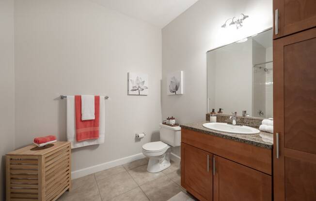 a bathroom with a toilet and a sink and a mirror