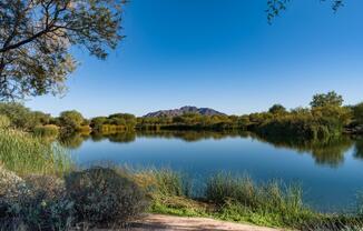 Desert paths and still water frame the views at Veterans Oasis Park—a quiet escape for walking trails, wildlife, and open skies.