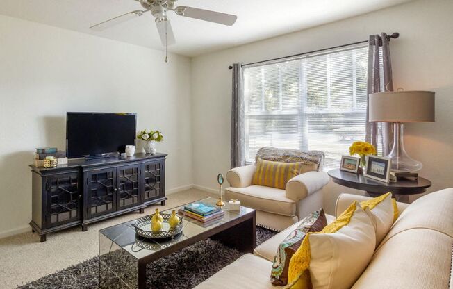 Decorated living room with a couch, sofa, lamps, curtains, and a television