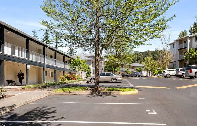 a tree in the middle of a parking lot in front of a building at Mill Pond Apartments, Auburn, WA