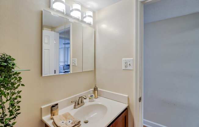 a bathroom with a sink and a mirror and a shower