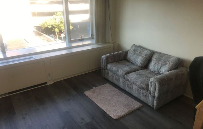 UPDATED FURNISHED STUDIO ON U OF M CAMPUS