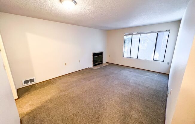 1 bed, 1 bath, 600 sqft, $1,495