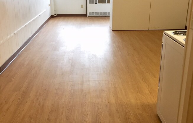 Studio, 1 bath, 450 sqft, $1,165, Unit 310