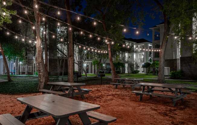 Pet-Friendly Apartments in Houston, TX – Westchase Forest – Photo of picnic tables in a park at night