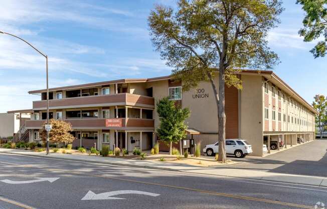 an office building with a street and a tree in front of it