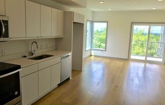 1 bed, 1 bath, $1,299