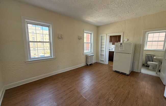 Studio, 1 bath, 308 sqft, $1,200, Unit Bayard Manor 105
