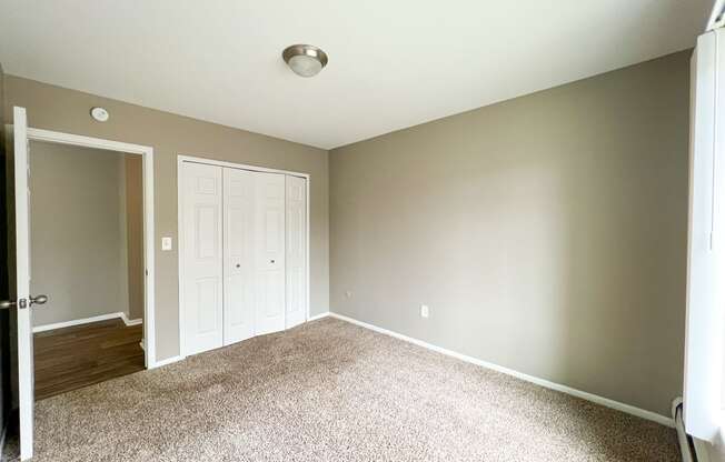 a bedroom with gray walls and a carpeted floor