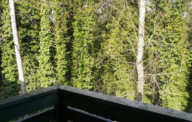 1 bed, 1 bath, 612 sqft, $1,325, Unit 204