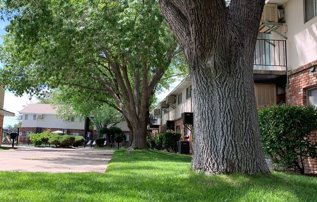 1 bed, 1 bath, 687 sqft, $875, Unit 22