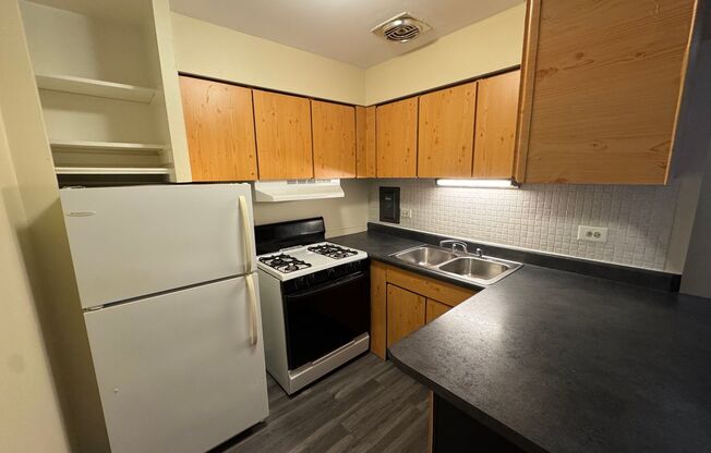 Studio, 1 bath, 370 sqft, $1,295, Unit 3160-408