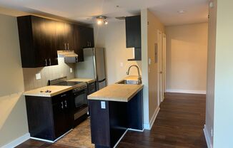 Studio, 1 bath, 475 sqft, $1,495, Unit 103