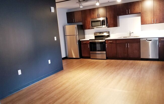 1 bed, 1 bath, 540 sqft, $1,300, Unit Unit 1108