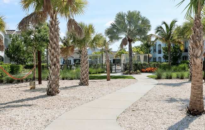 a walkway with palm trees and a house in the background