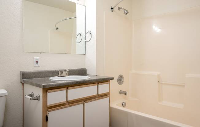 a bathroom with a sink and a bathtub