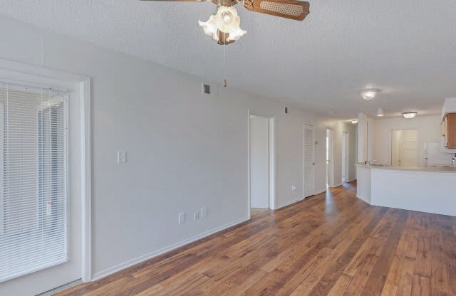 Ceiling Fan In Living Room