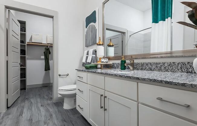 Gorgeous Bathroom with Connected Walk In Closet