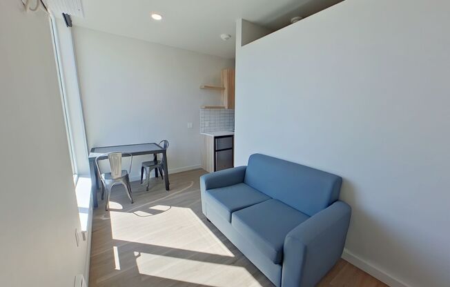 Studio, 1 bath, 314 sqft, $1,250, Unit 409