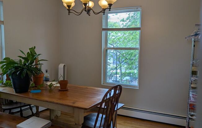 SEPTEMBER 1 - Dorchester Savin Hill 3 bedroom with parking!