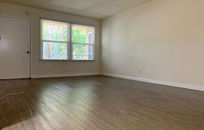 Studio, 1 bath, 563 sqft, $1,695, Unit 11