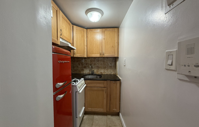 Studio, 1 bath, $2,800, Unit 1F