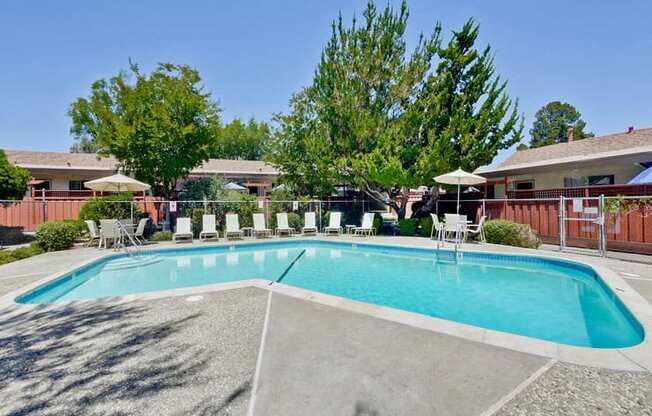 Sunnyvale CA Apartments - Cherry Blossom - Pool Surrounded by Lounge Seating