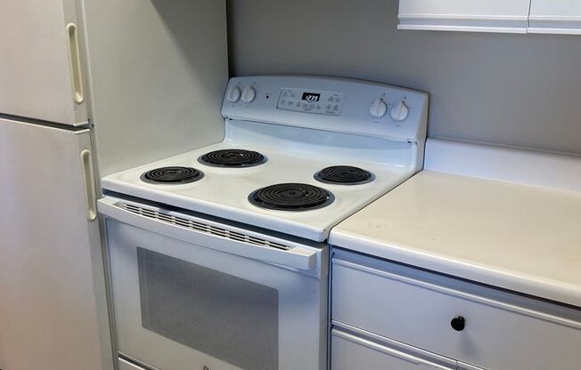 Studio, 1 bath, 462 sqft, $1,297, Unit 329