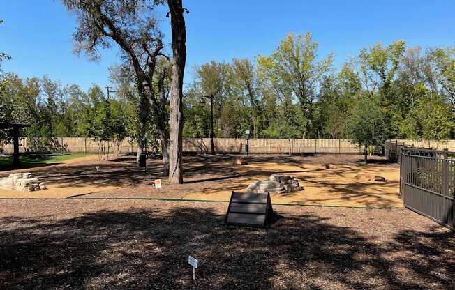 Outdoor Pet Park