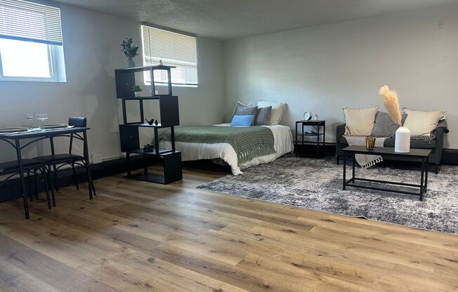 Studio, 1 bath, 450 sqft, $845, Unit 262-2