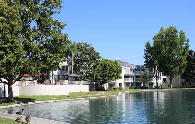 A group of kangaroos are standing by a body of water.