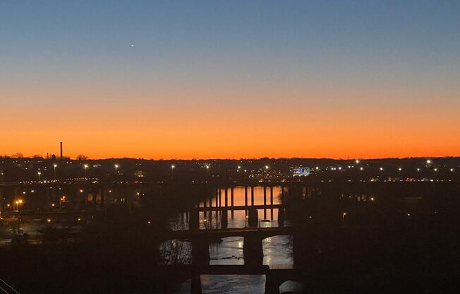 1 bed, 1 bath, $1,600