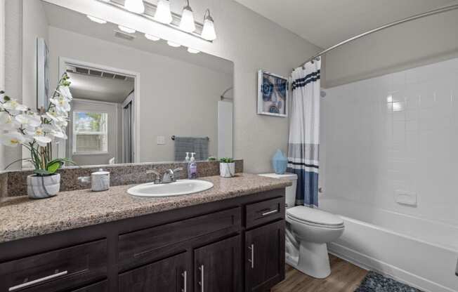 a bathroom with a sink and a toilet