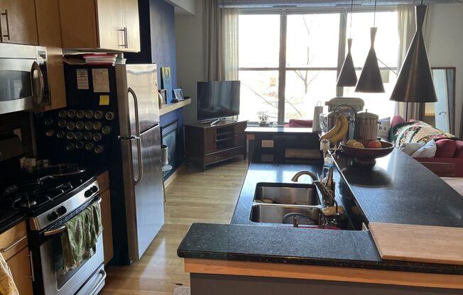 Fanstastic One Bedroom, One Bathroom Unit in St. Louis Park