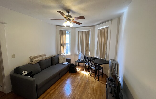 11 Scottfield Rd, Allston MA 04
