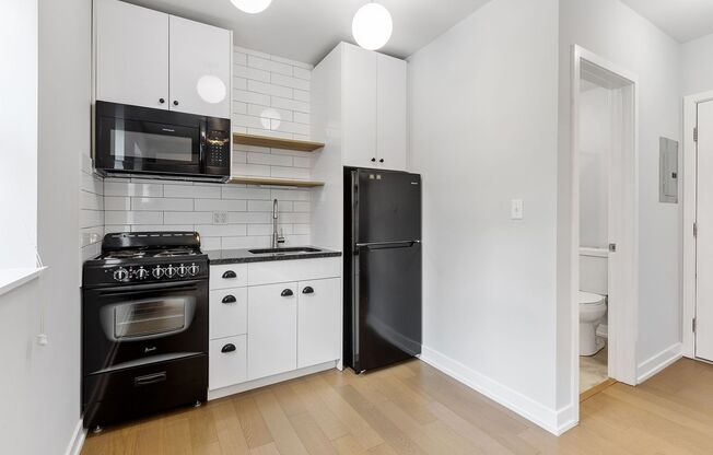 Studio, 1 bath, 238 sqft, $1,495, Unit 406
