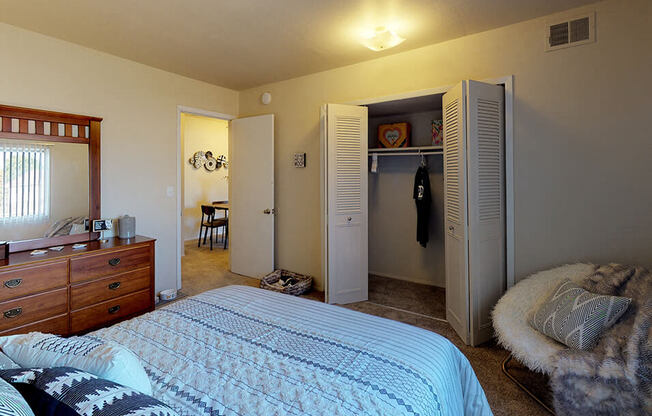 Closet at Castle Pointe apartment