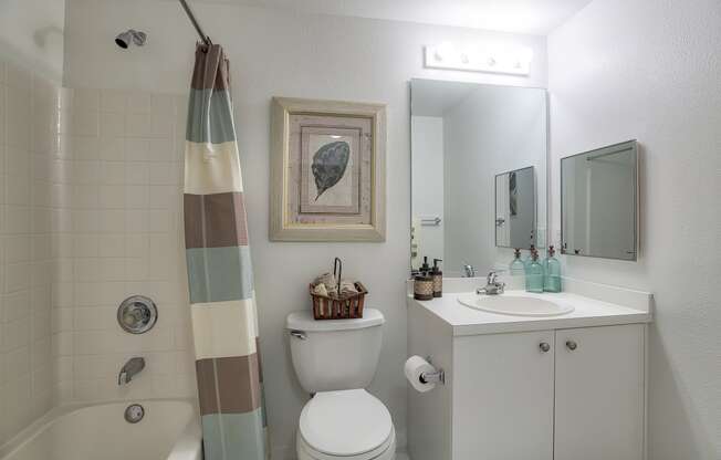Bathroom  | Monterra at Bonita Springs