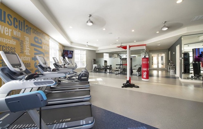 Professional fitness studio with yoga zone, virtual trainer and boxing station