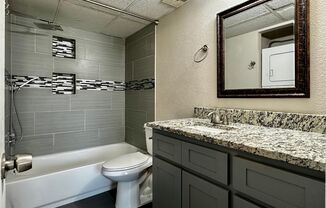 Economical 1 Bd / 1 Ba at Spring Tree Near Baylor!