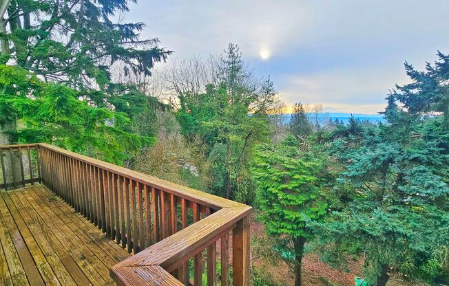 Charming 3 Bed 1.25 Bath Home in Skyway with a great view of Mt Rainier