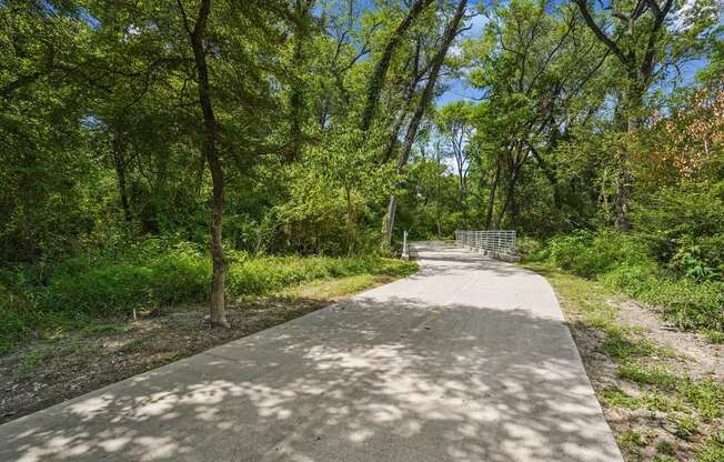 a path through a park with trees and a fence